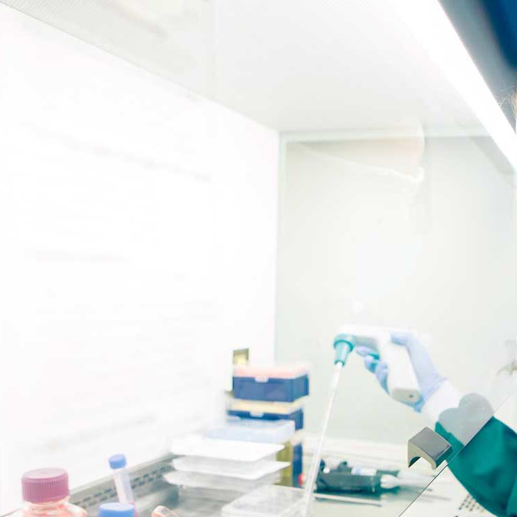 A student undertaking research in a flume lab in Experimental Medicine and Biomedicine